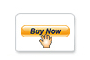 Paypapbut.gif - 1919 Bytes
